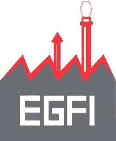 E.G.F.I (INTEX)